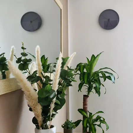 Levante - 500m Amphitheatre - Free Parking Lejlighed Pula