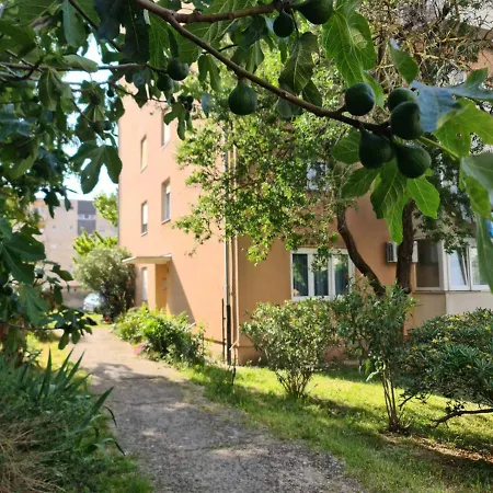 Levante - 500m Amphitheatre - Free Parking Pula