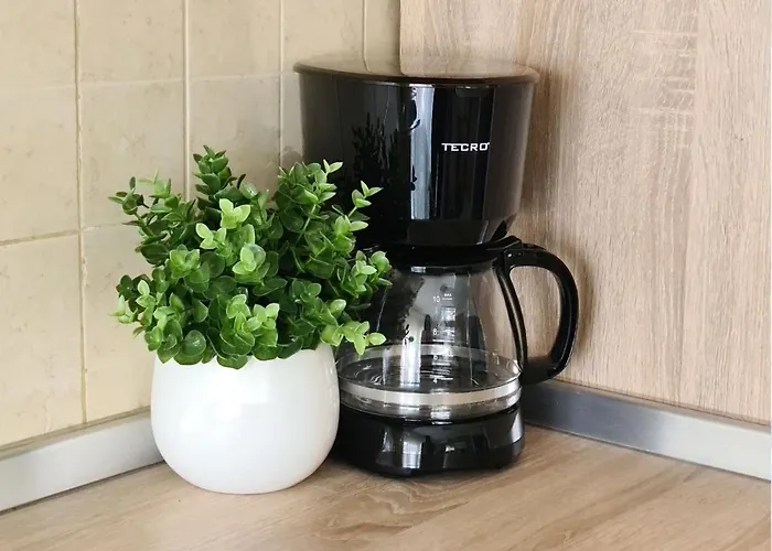 Apartman Levante - 500m Amphitheatre - Free Parking *