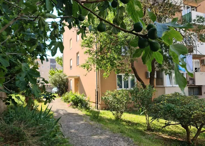 Levante - 500m Amphitheatre - Free Parking Pula